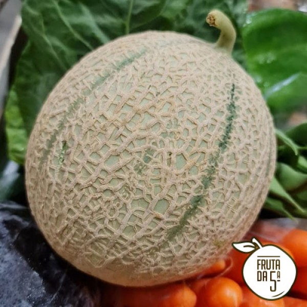 Meloa Cantaloupe